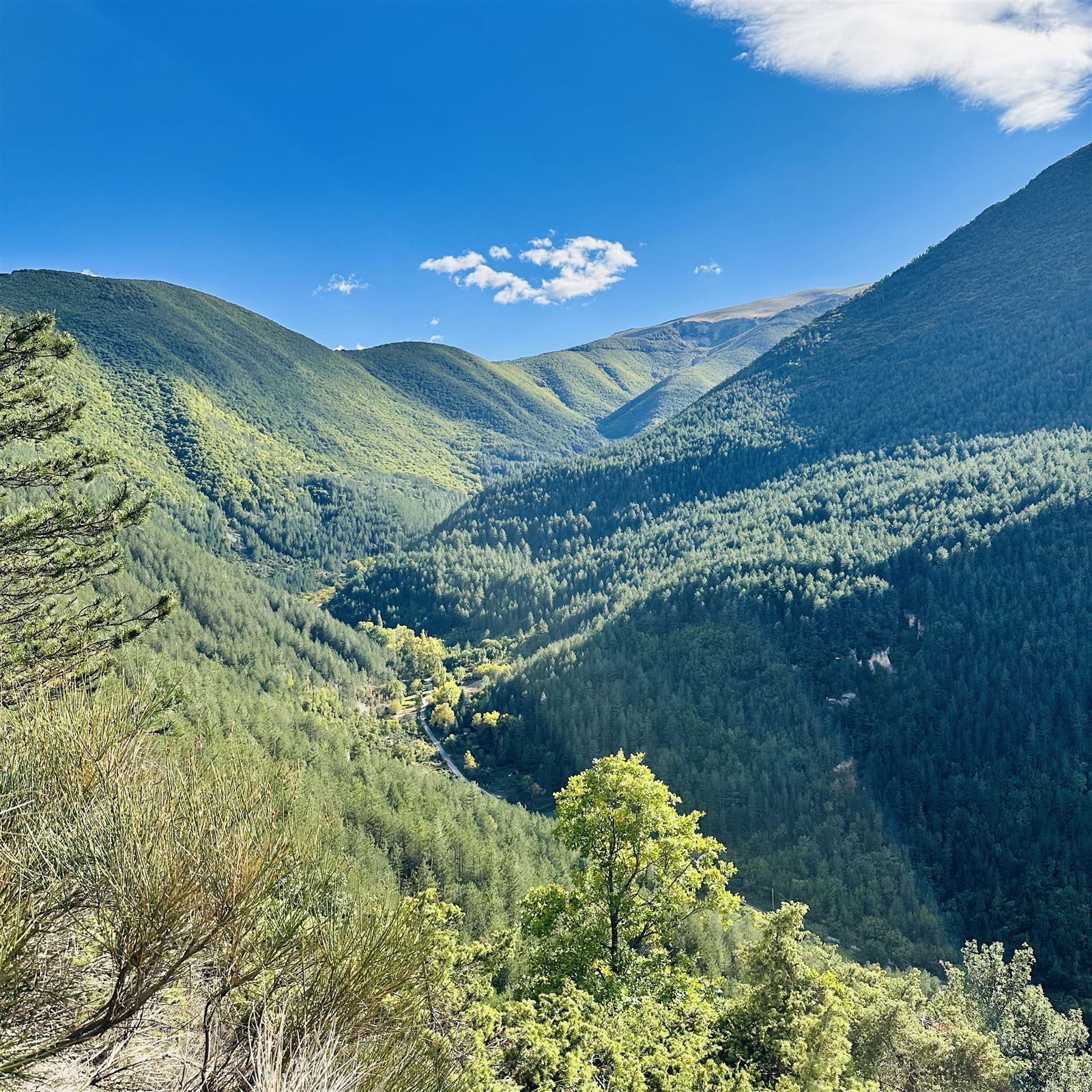 Escursionisti in cammino